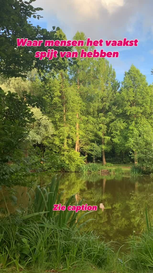 Dit is wat mensen zeggen als ze terugkijken op hun leven:
“Ik wou dat ik de moed had gehad om mijn eigen leven te leiden, niet het leven dat anderen van me verwachtten”

Laat dit niet jouw verhaal worden!
#liefdevoorjezelf #midlife #kiesvoorjezelf #zelfvertrouwen #getoutofyourcomfortzone #tweedehelftvanjeleven #hypnotherapie